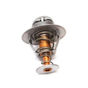 TERMOSTATO MOTOR N45AM1